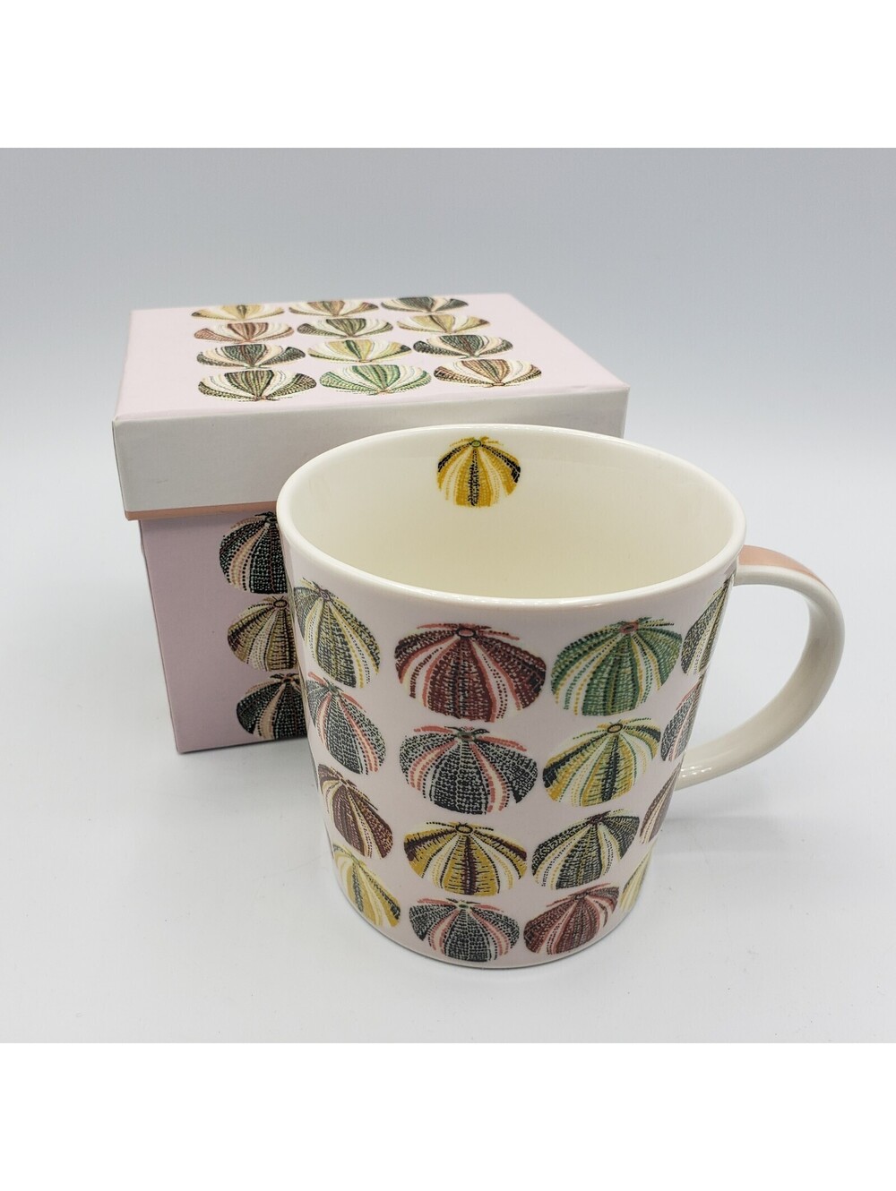 PPD Coffee Mug NIB Urchins Bone China Sarah Gordon Ocean Sea Tea Cup